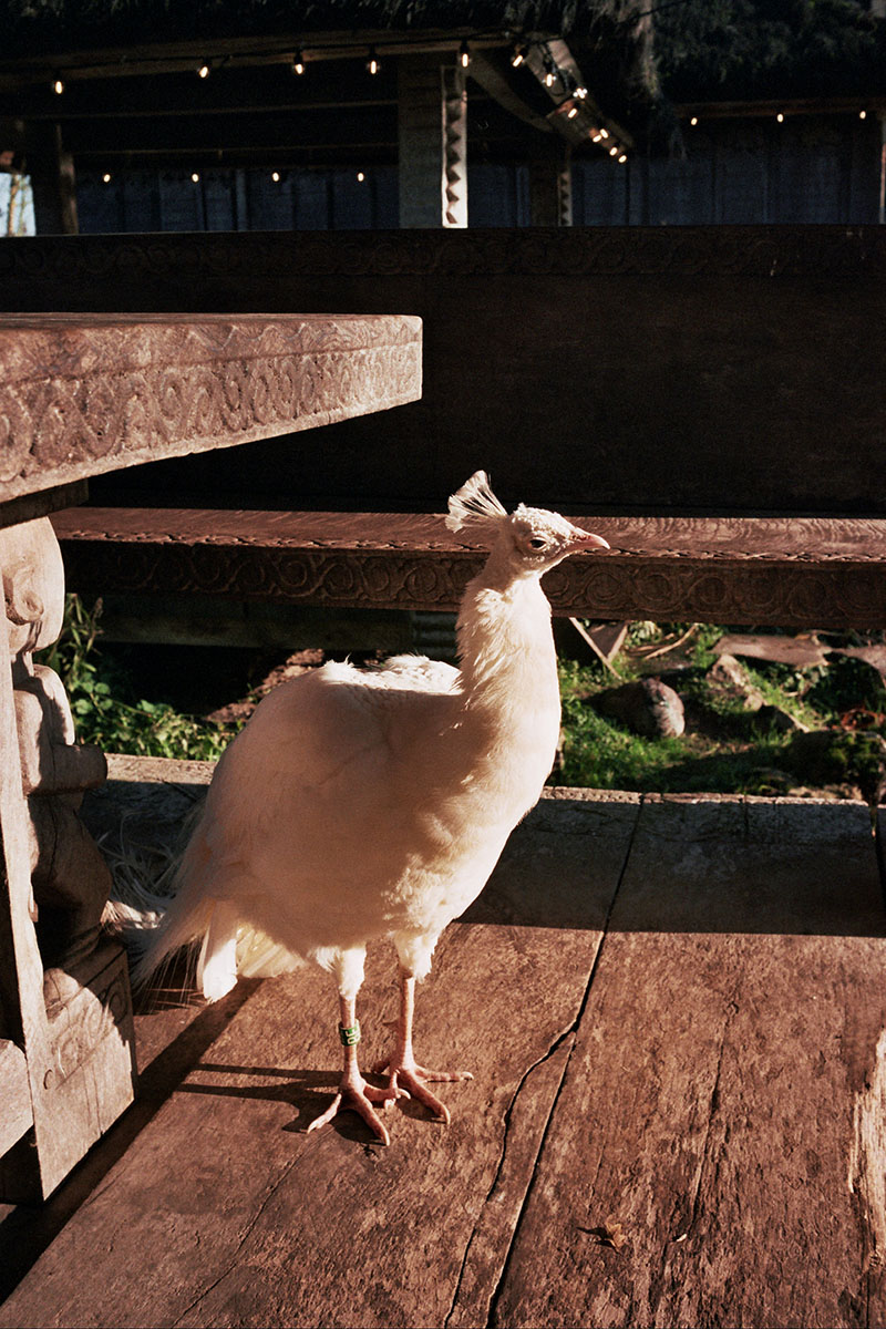 pairidaiza